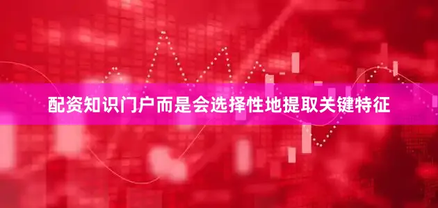 配资知识门户而是会选择性地提取关键特征