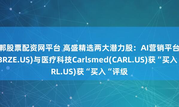 邯郸股票配资网平台 高盛精选两大潜力股：AI营销平台Braze(BRZE.US)与医疗科技Carlsmed(CARL.US)获“买入“评级