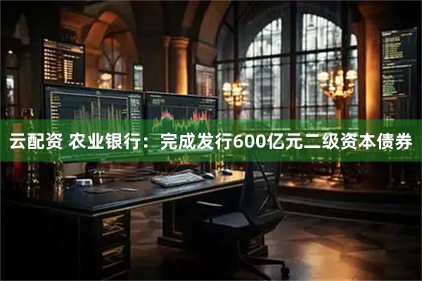 云配资 农业银行：完成发行600亿元二级资本债券